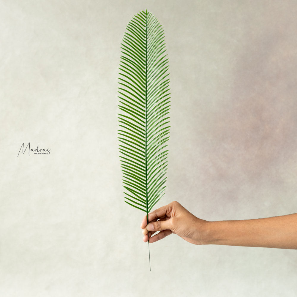 Rental- Palm Leaves set of 4