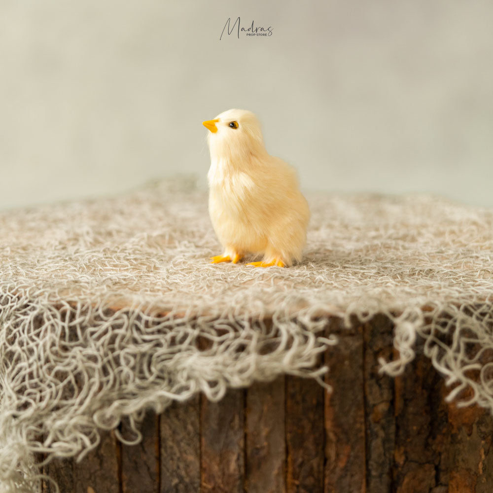 Rental - Chick