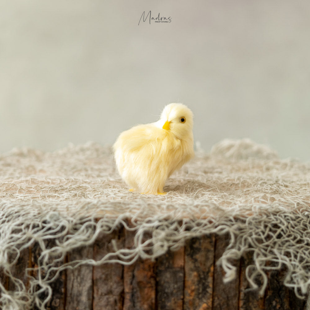 Rental - Chick
