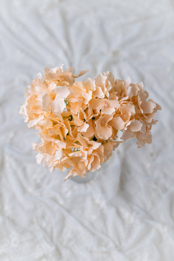 Rental - Hydrangea Bunches