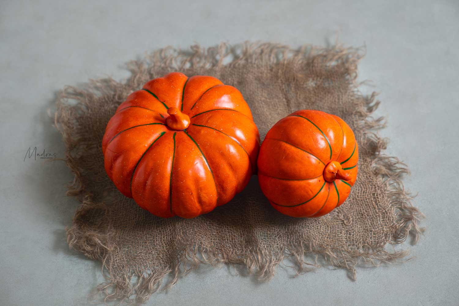 Rental - Green Line Large Pumpkin Set Of 2