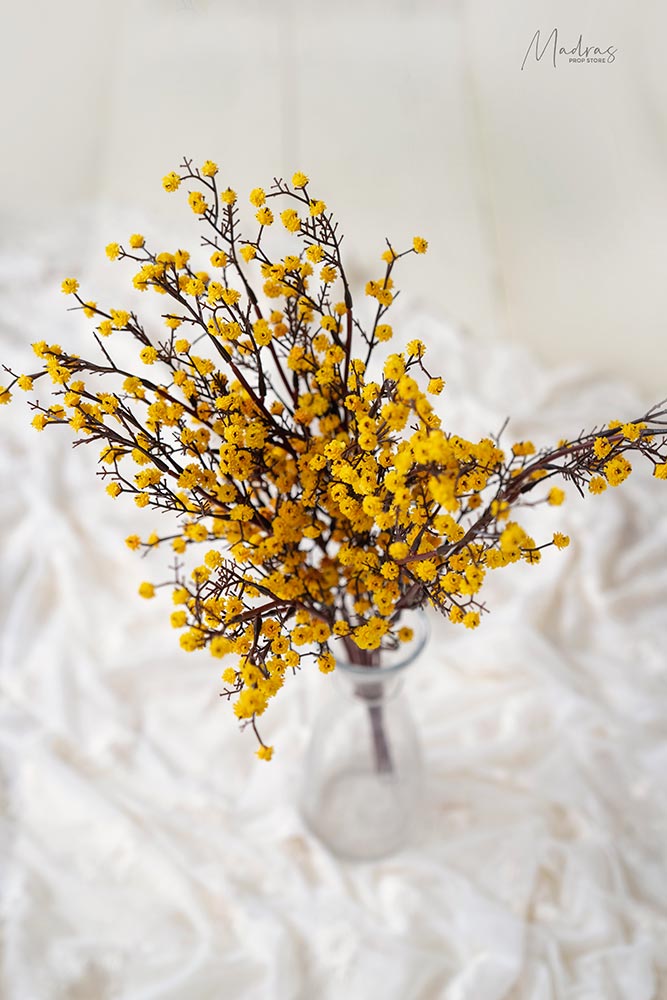 Rental - Miracle Blooms Set of 2