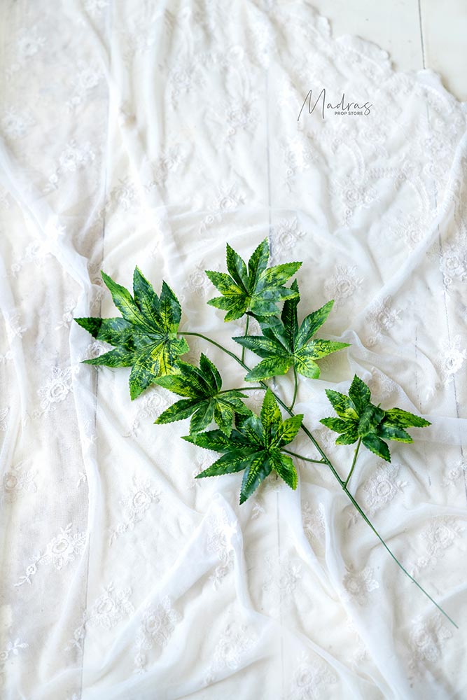 Rental - Little Greeny Set Of 2