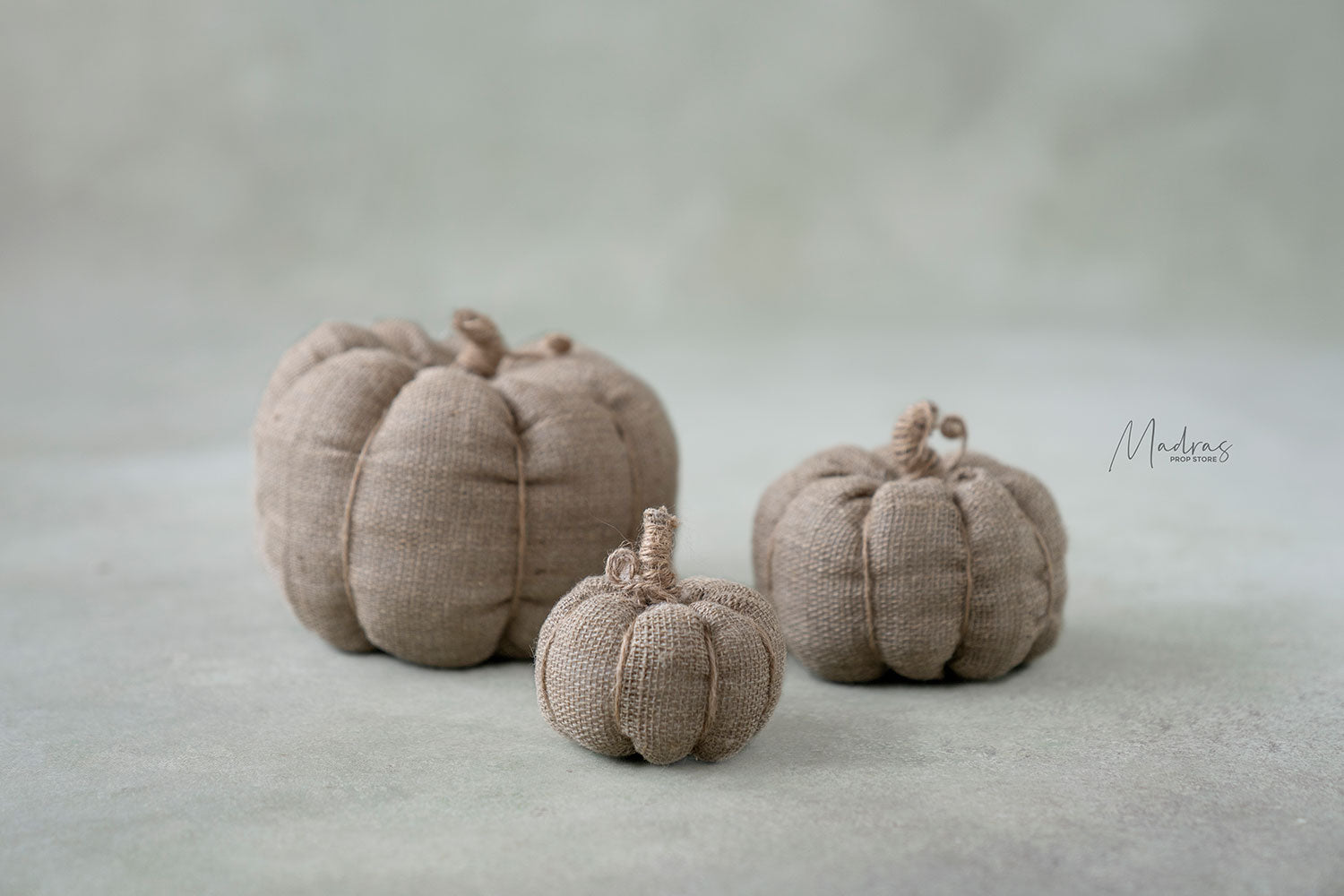 Rental - Jute Pumpkin