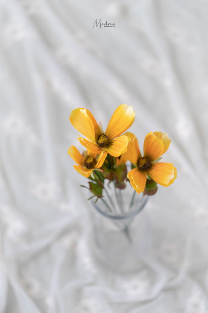 Rental - Corn Lily Set Of 2