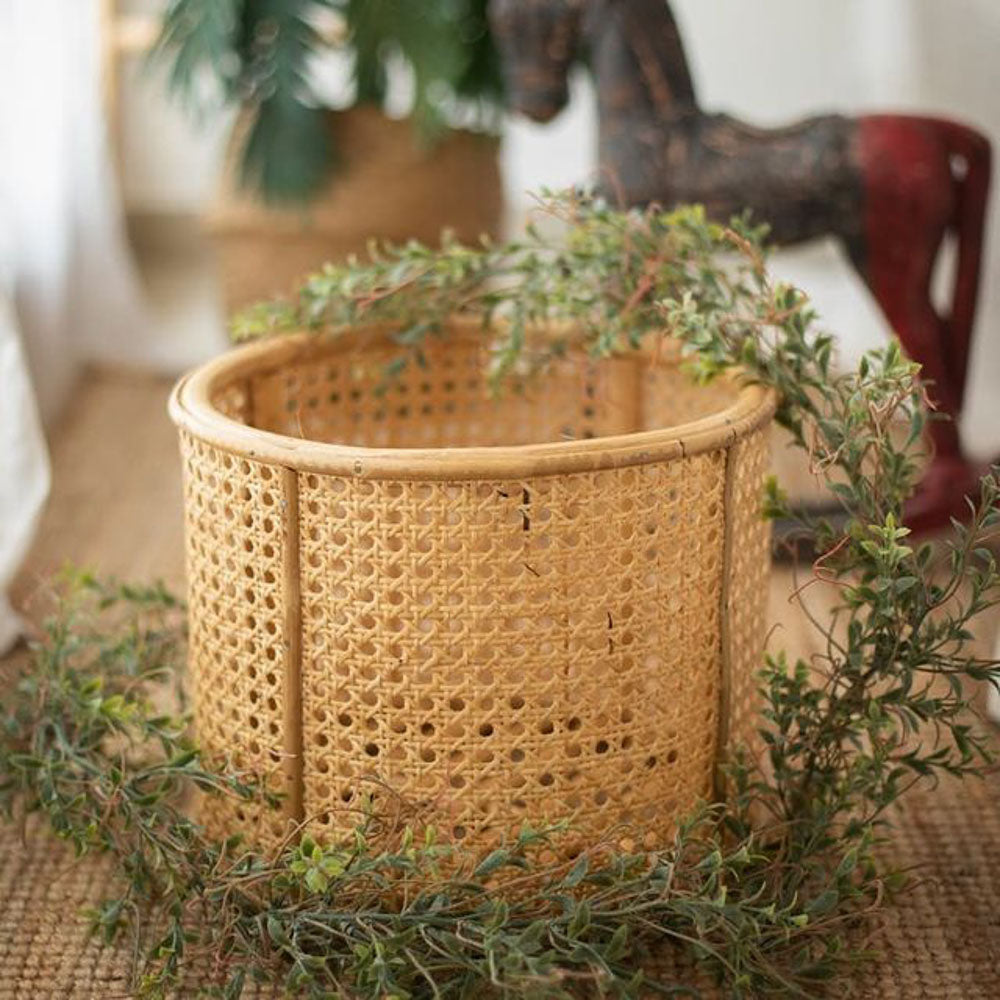 Rental - cane mesh Basket
