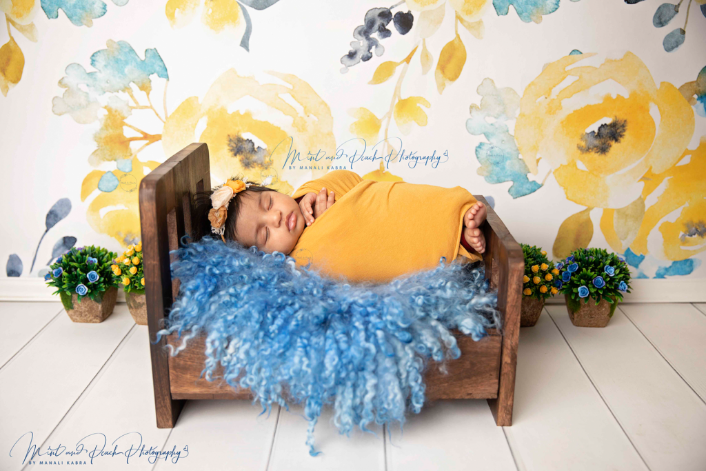 Rental - Newborn Baby Bed Type 1
