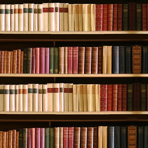 Library - 5 By 6- Fabric Printed Backdrop