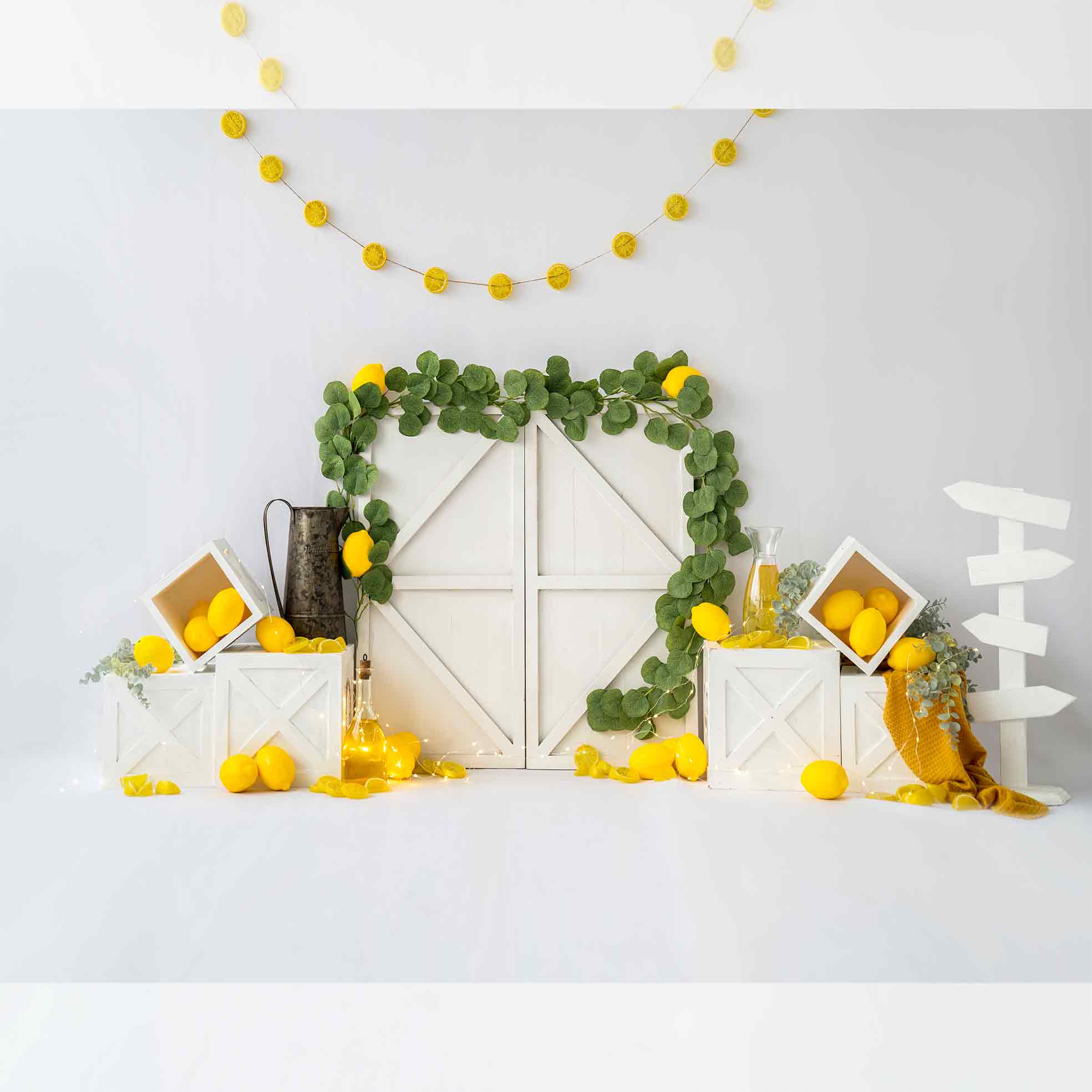 Rental - Make Lemonade - Printed Baby Backdrop - 5 By 6 Feet - Fabric