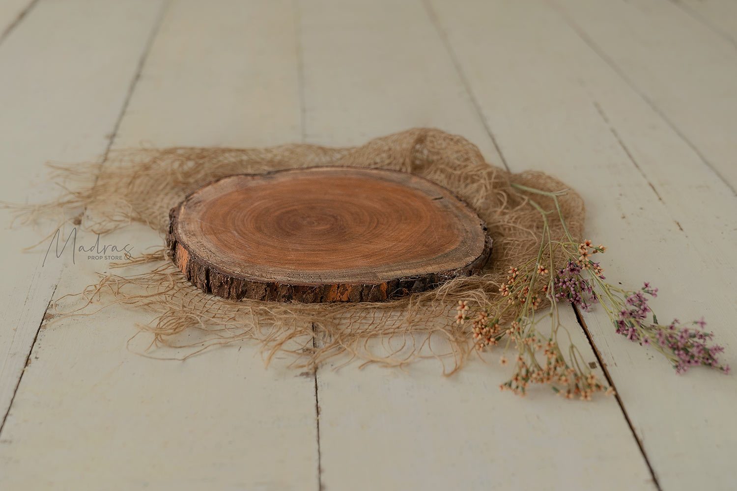 Rental - Wooden Log for Cake Smash