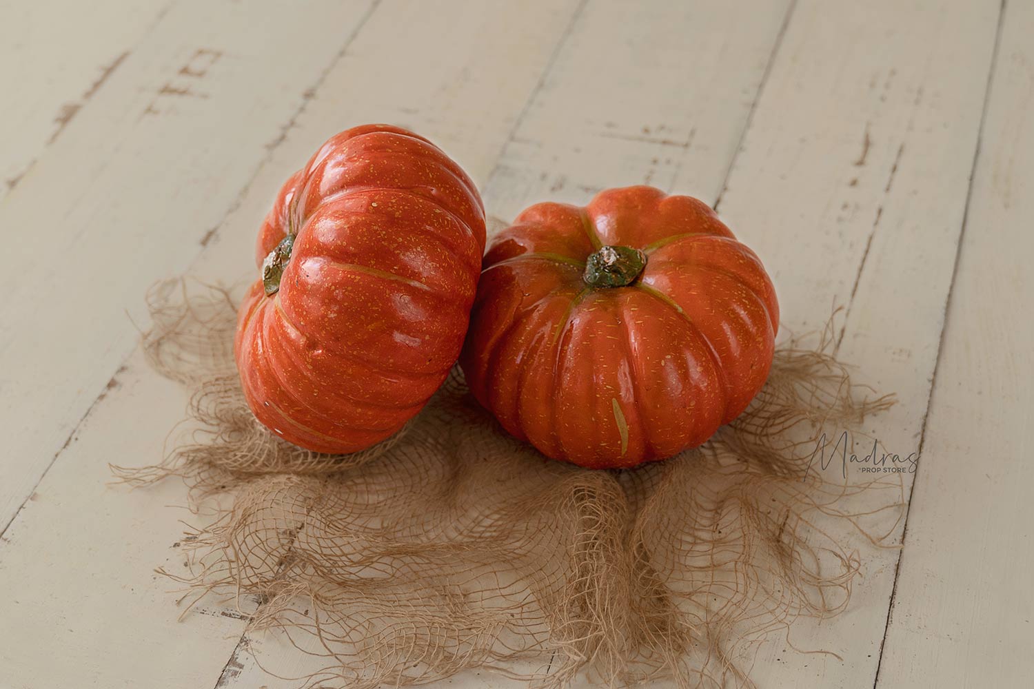 Rental - Pumpkins Large Set of 2