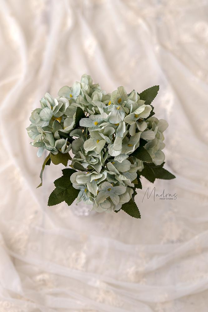 Rental - Hydrangea