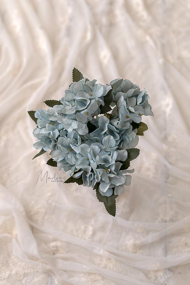 Rental - Hydrangea