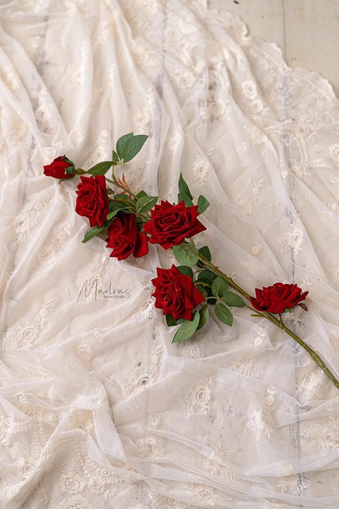 Rental - Red Rose