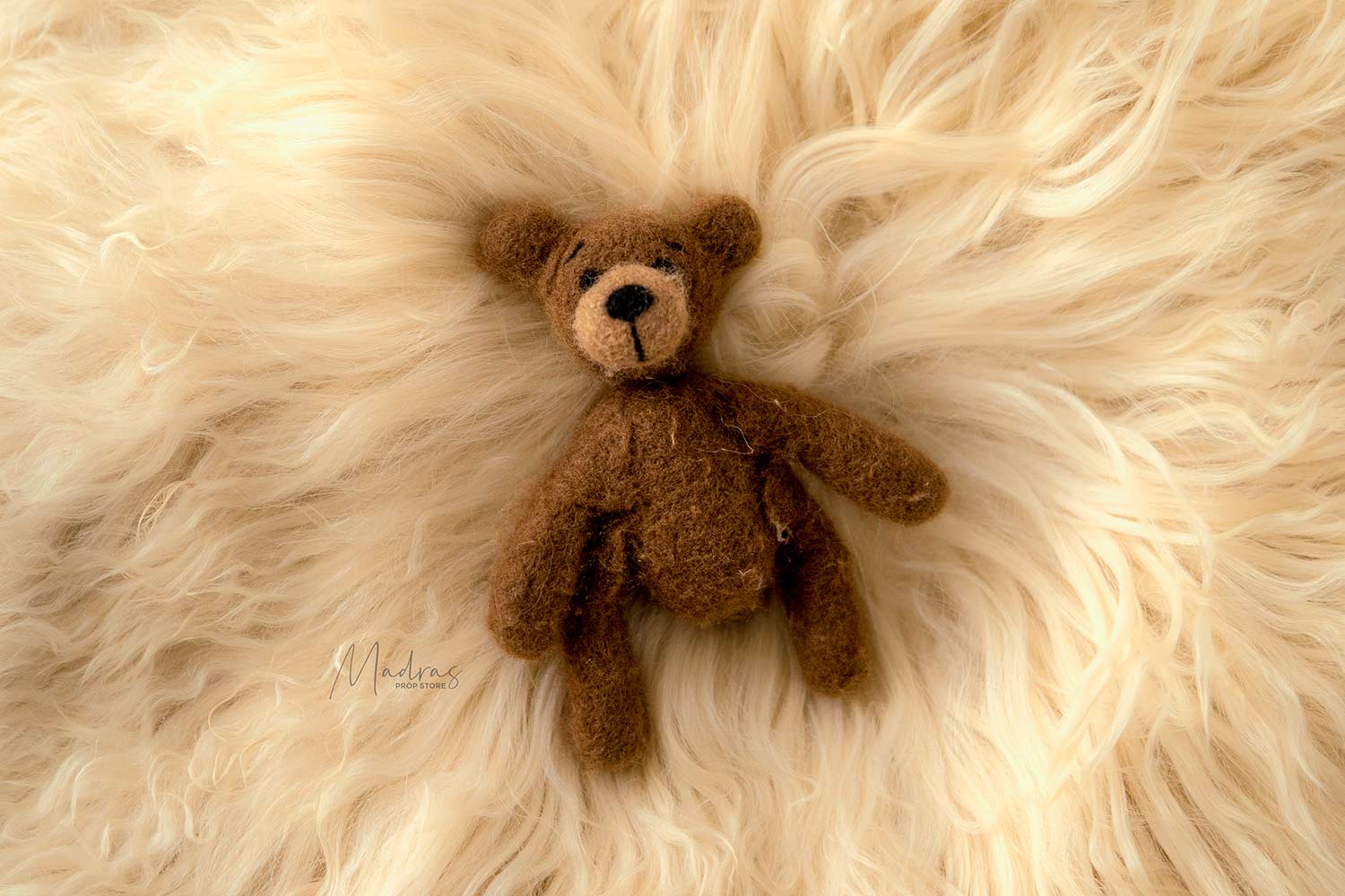 Rental - Newborn Brown Teddy