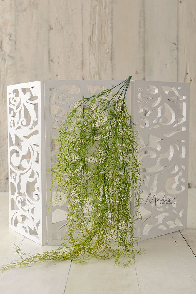 Rental - Green Long Creeper