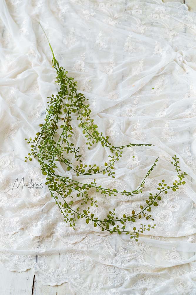 Rental - Pretty Greeny Creepers