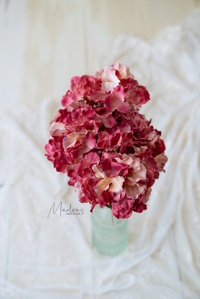Rental - Premium Hydrangeas