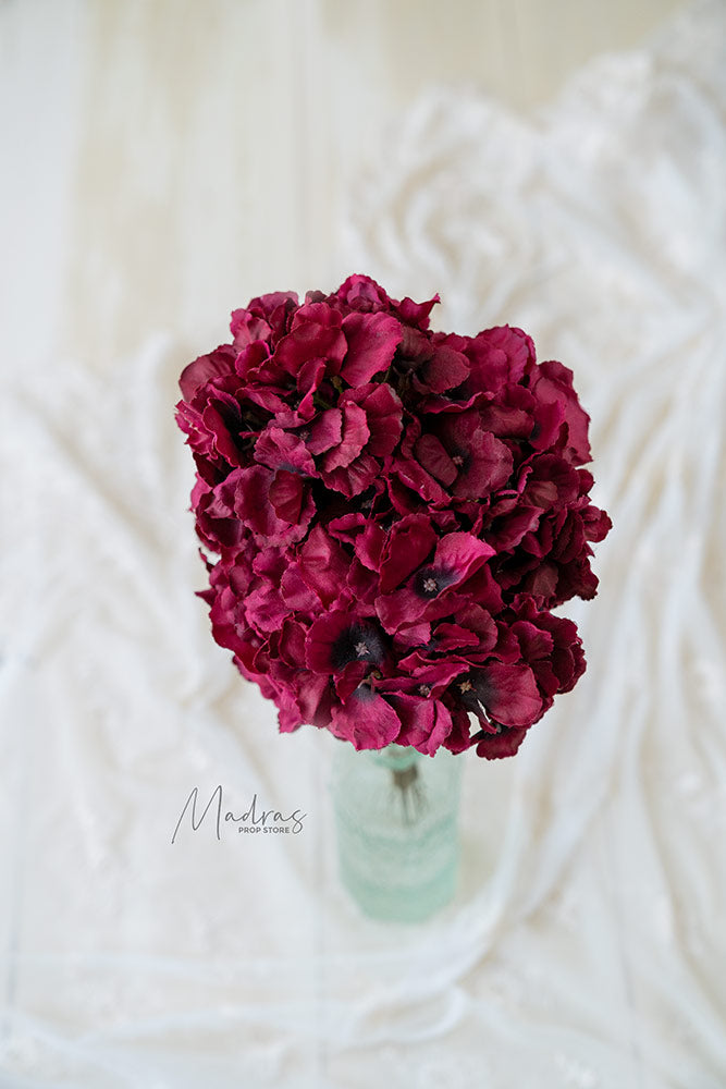 Rental - Premium Hydrangeas