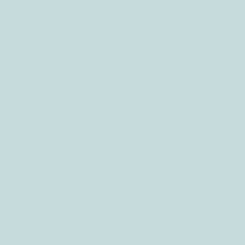 Rental - Pestel Blue - vinyl - Printed Food Backdrops- 2 By 3 Feet