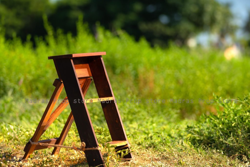 Rental - Mini Ladder