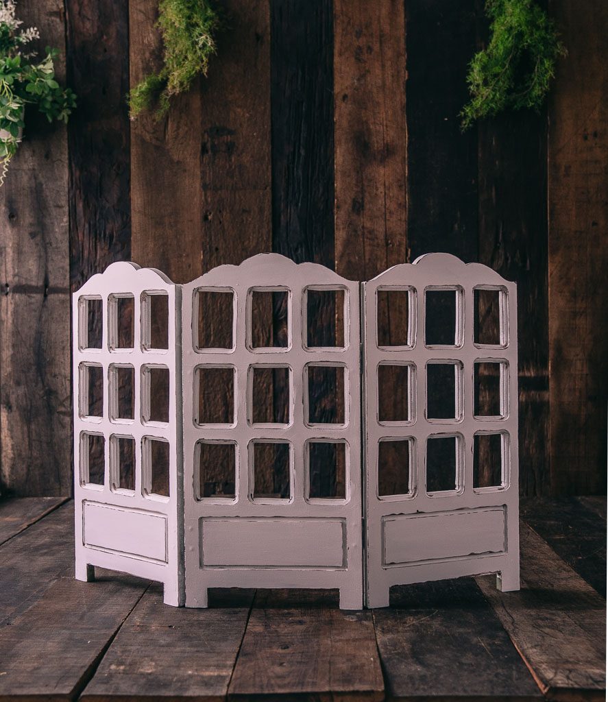 Rental - Threeway Foldable Door