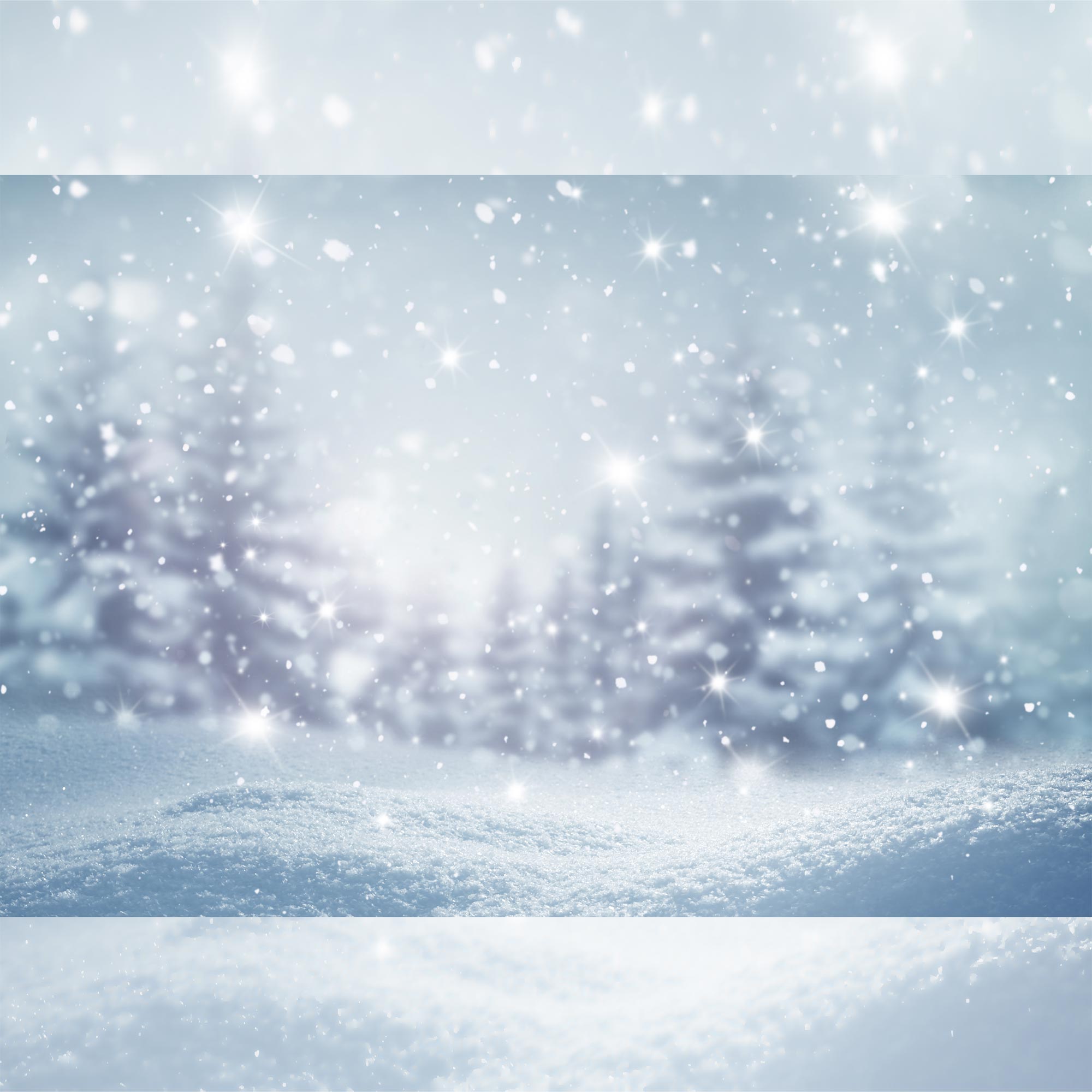 Snow Tree- 5 By 6- Fabric Printed Backdrop