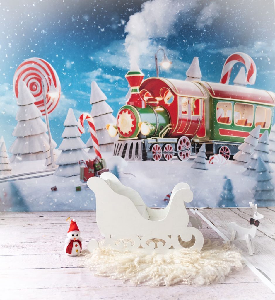 Rental - Xmas Sledge
