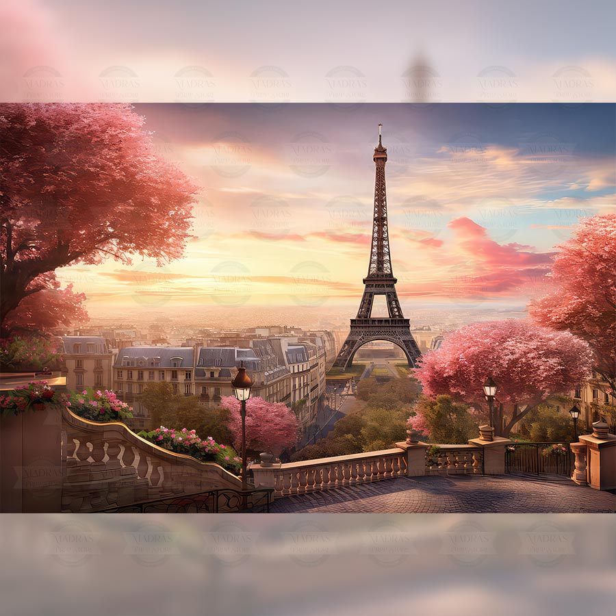 City Of Love - Baby Printed Backdrops