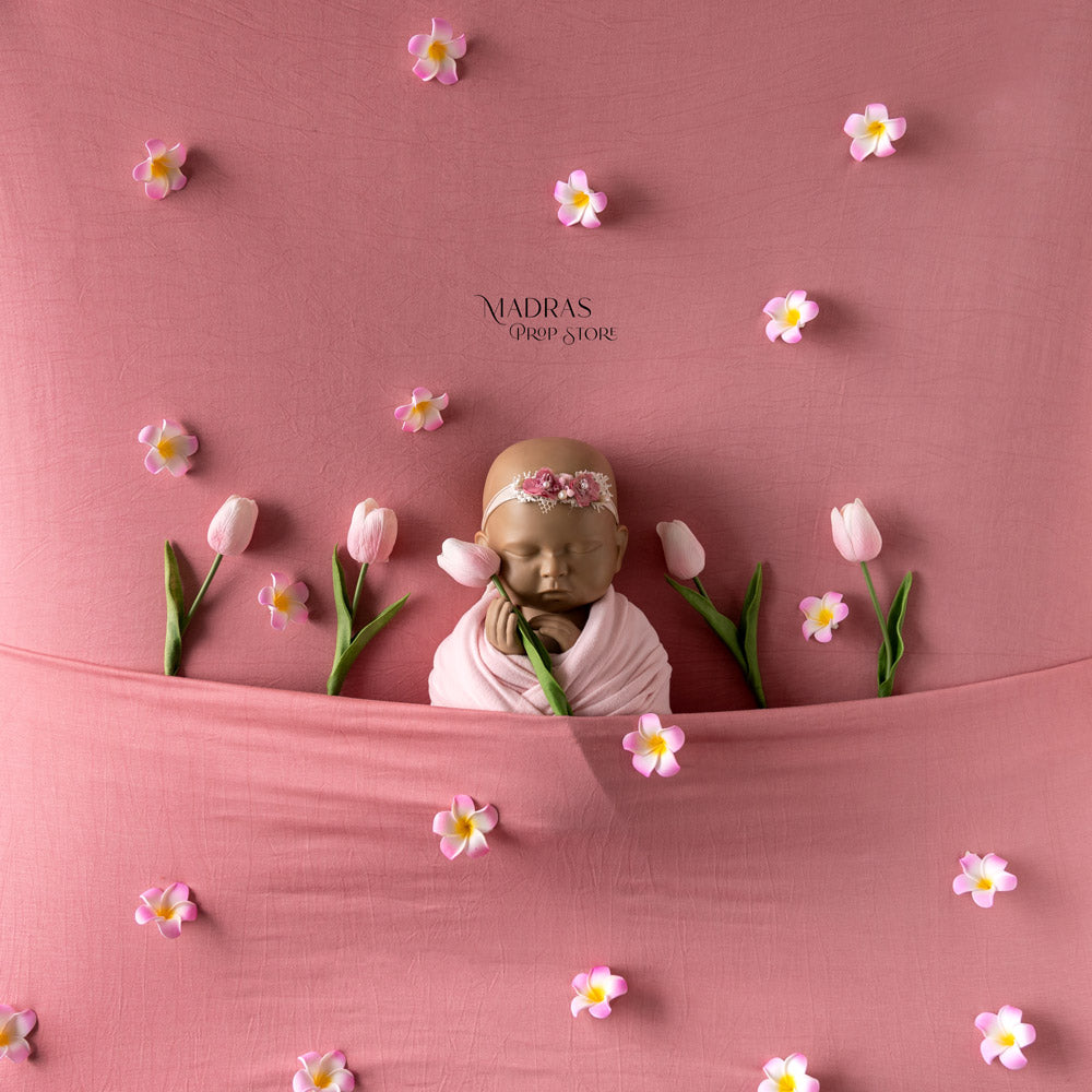 Setup No 81 | Baby in lily fields theme