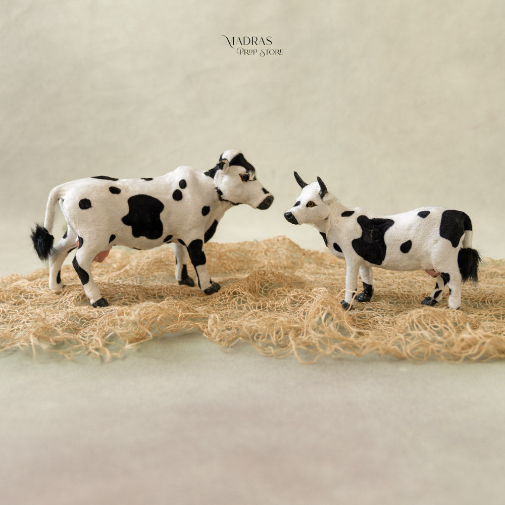 Rentals - Cow set of 2