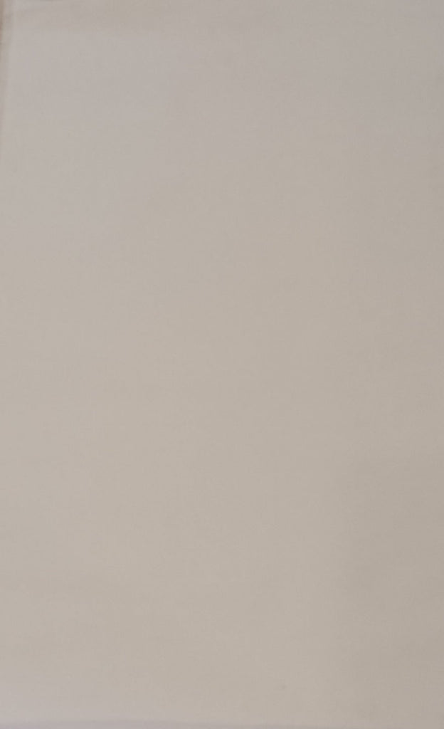 RENTALS - clean white - Painted backdrop - 3 × 2 ft