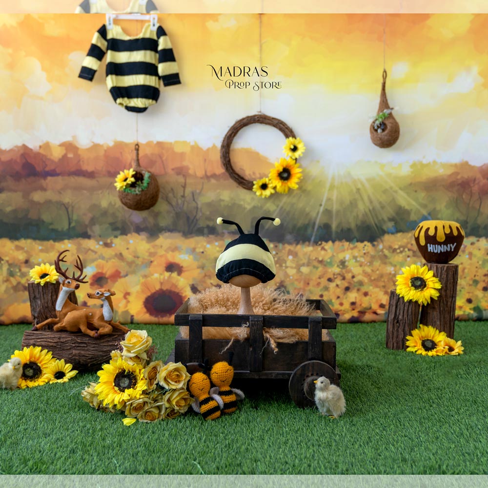 Setup No 1 | Sunflower theme