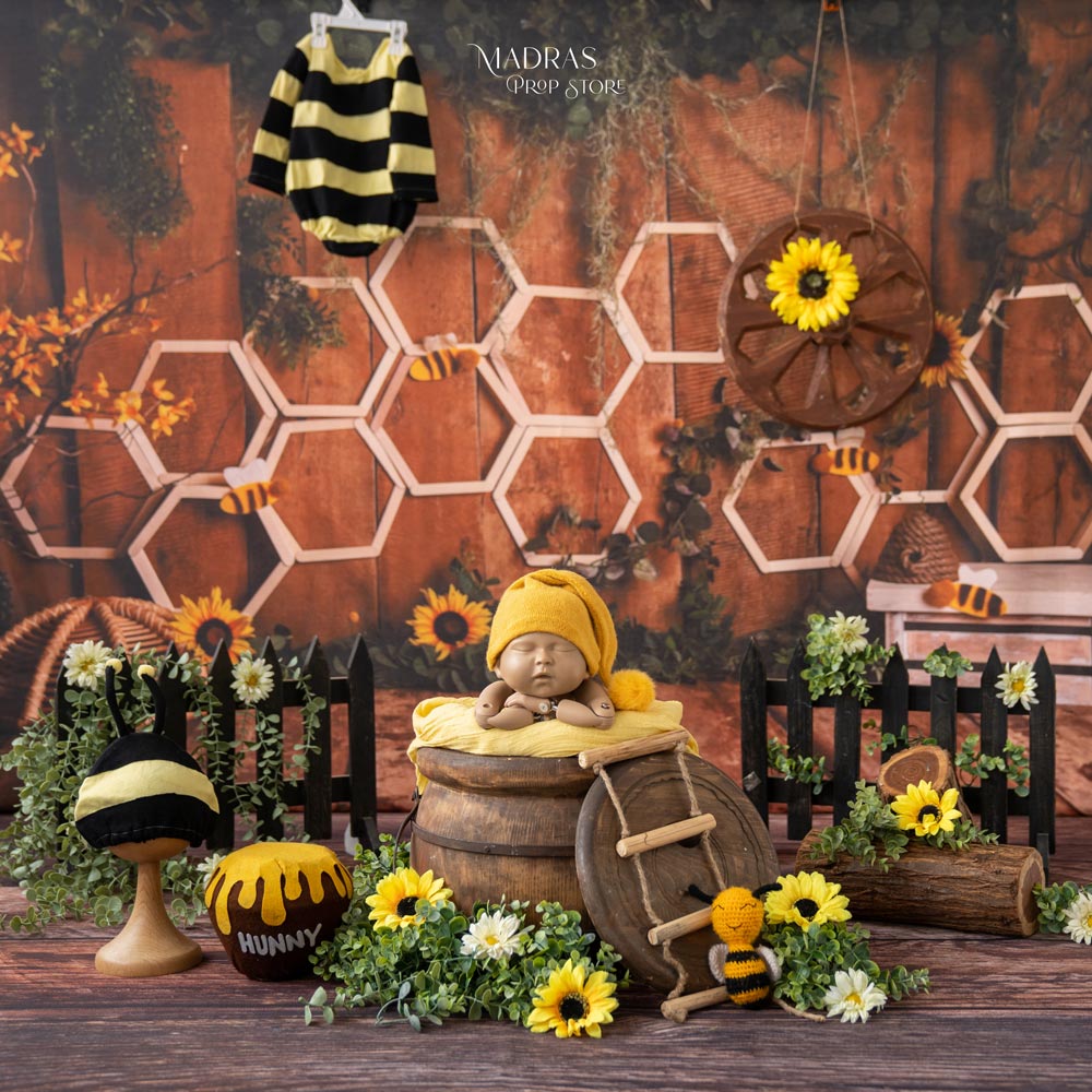 Setup No 47 | Honey Bee Theme