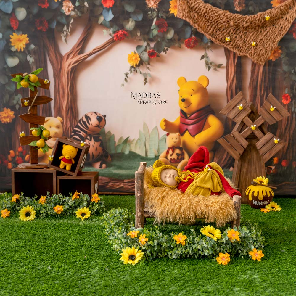 Setup No 74 | Winnie the Pooh Theme