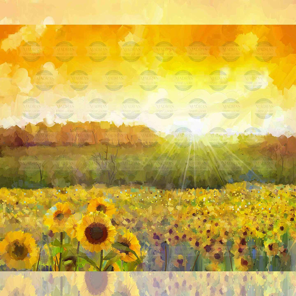 Sunflower Fields - Baby Printed Backdrops