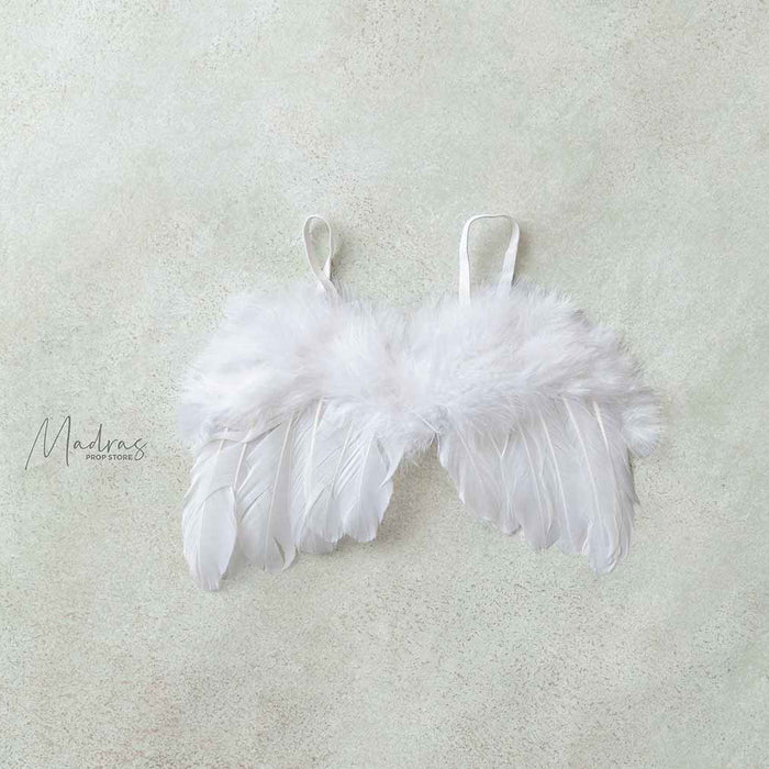 Rental - Angel Wings