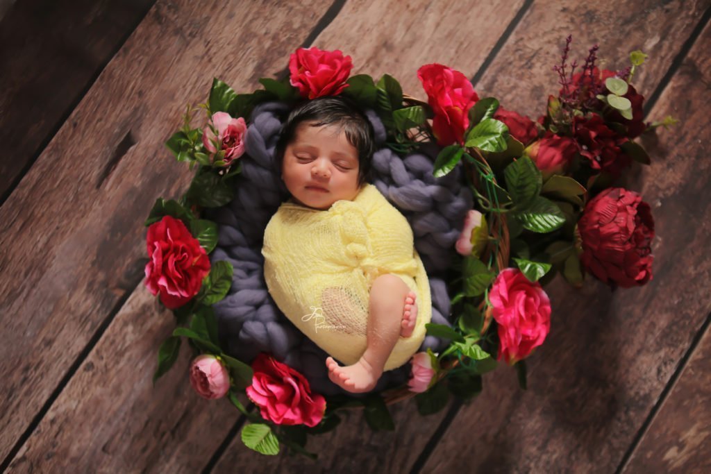 Rental - Brown Timber - Printed Baby Backdrops - 5 by 6 feet