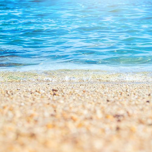 Rental - Beach - Printed Baby Backdrops - 8 by 10 feet - Fabric