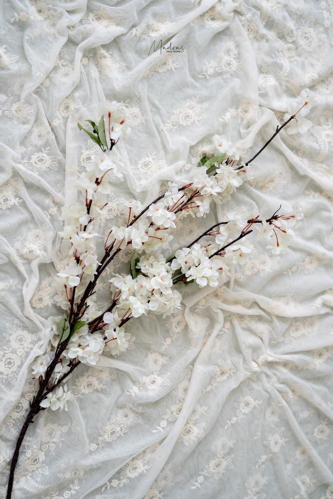 Rentals -White Lily