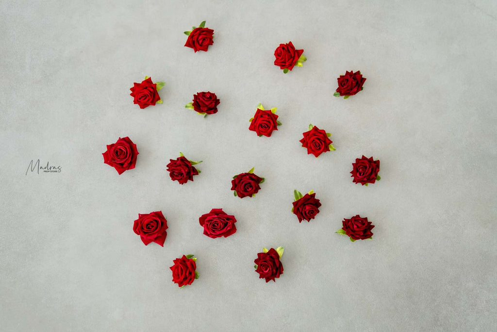 Rentals - Red Rose Heads Set Of 10