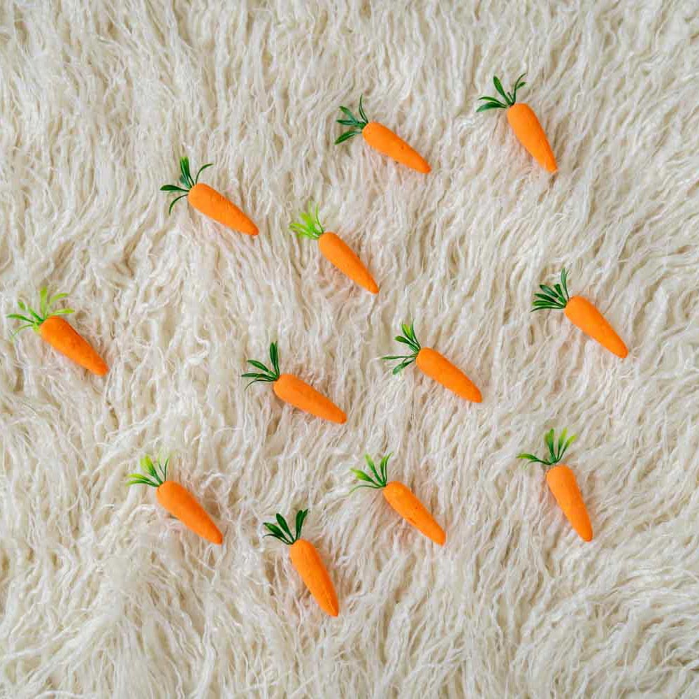 Rentals - carrot toy set of 8