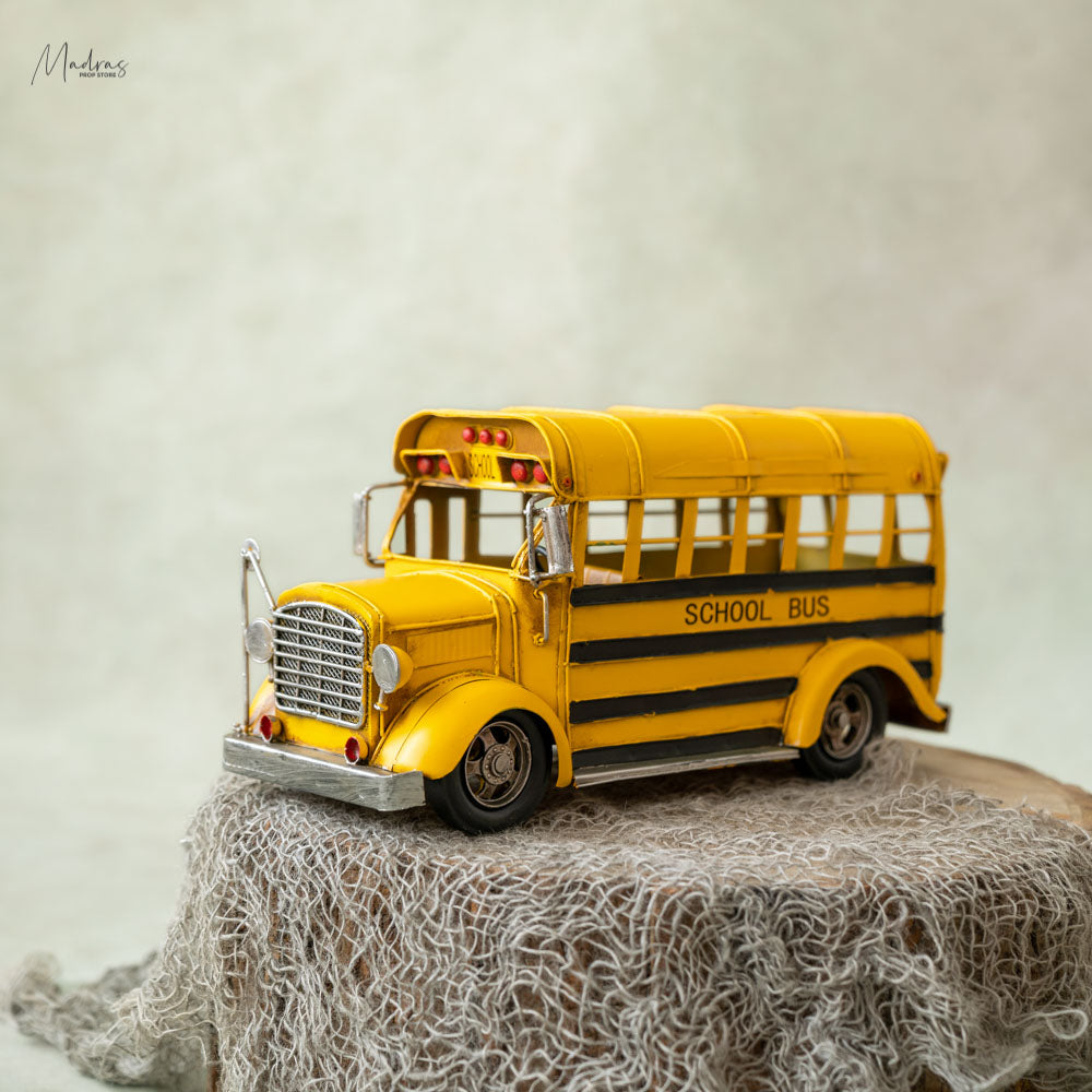 Rental-School bus