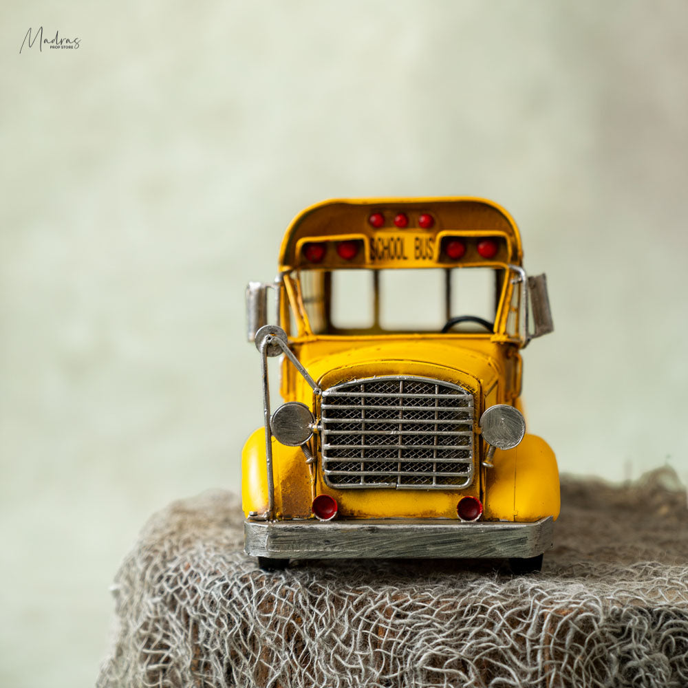 Rental-School bus