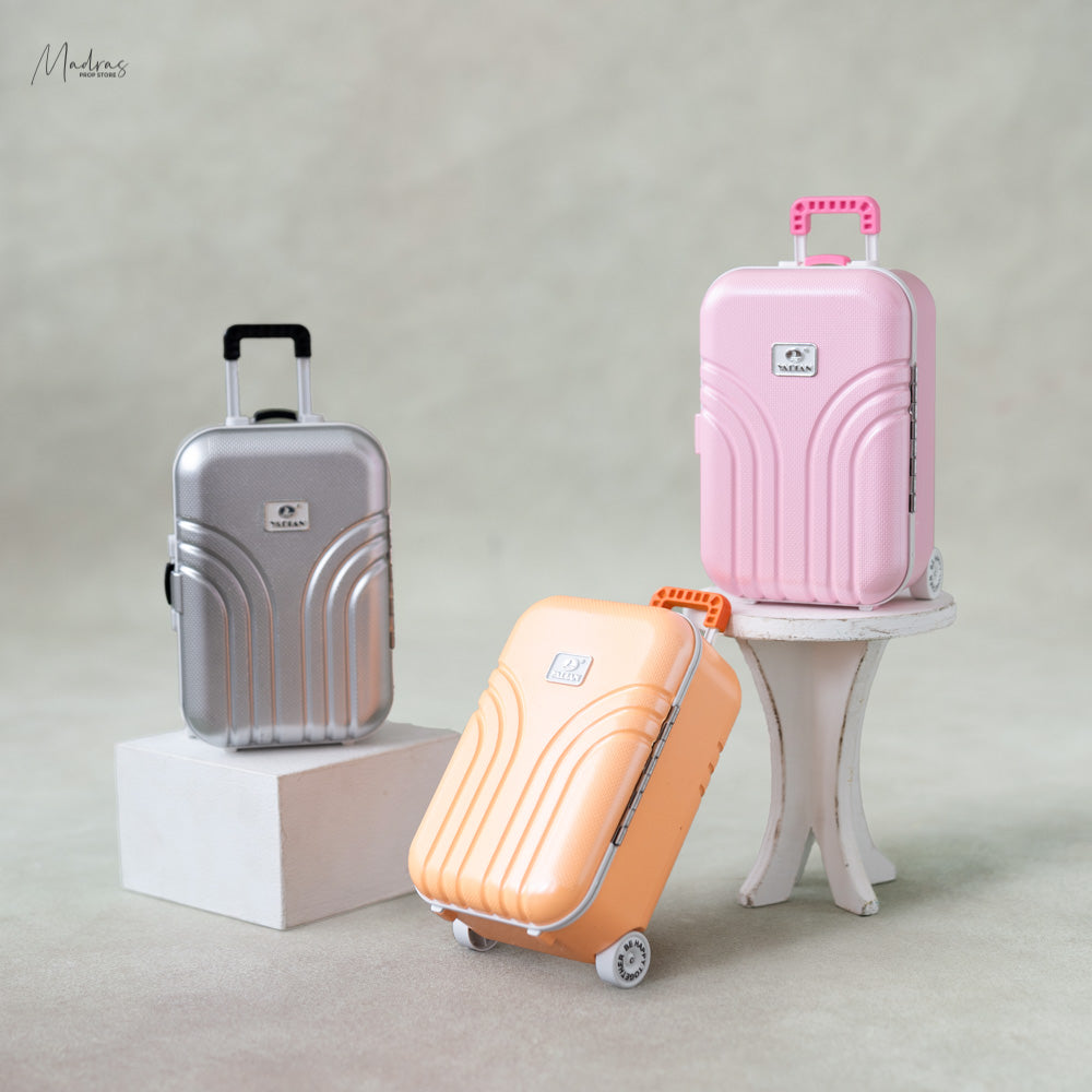 Rental - Mini suitcase