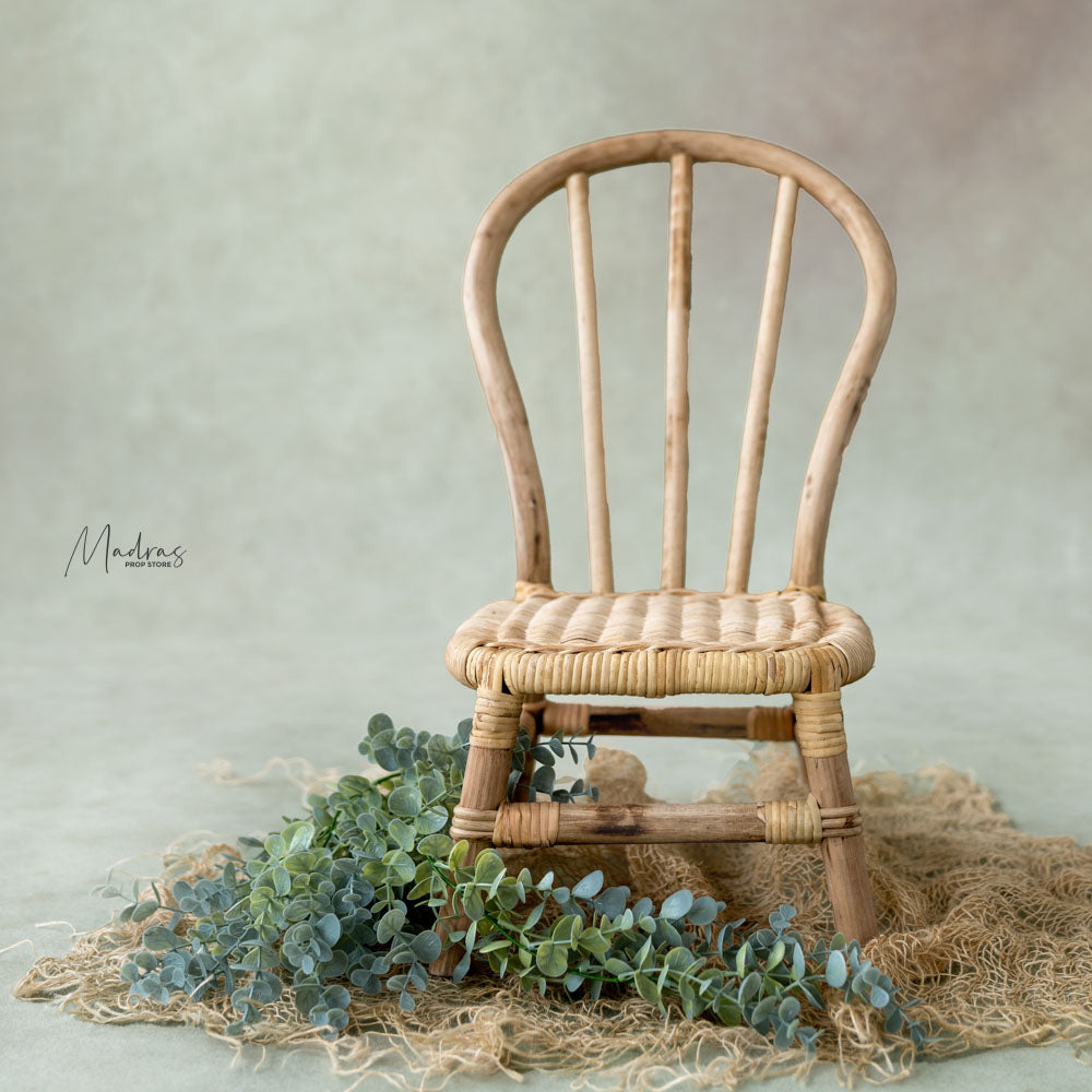 Rental -  Cane Windsor chair
