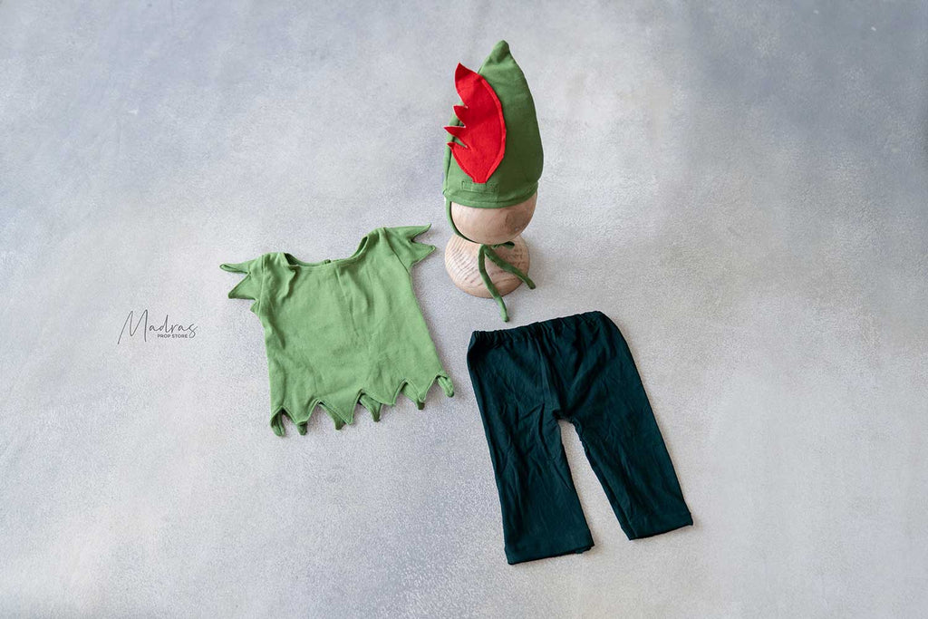 Jungle Outfit - (6 to 9 Months)