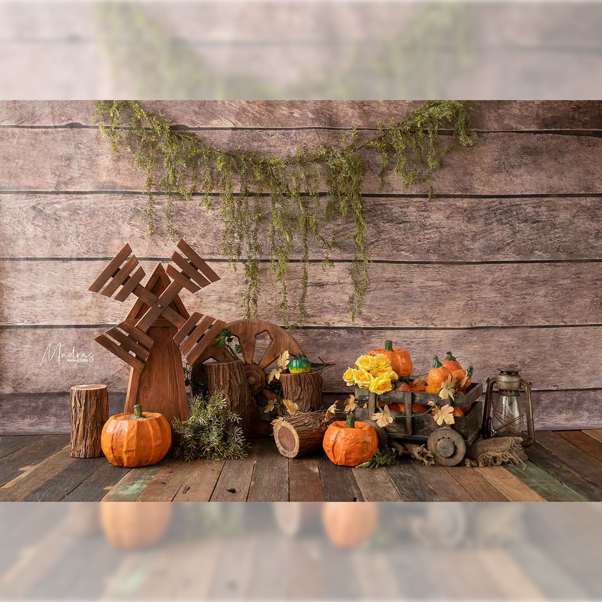 Rental - Let's Do Camping - Printed Baby Backdrops - 5 by 6 feet