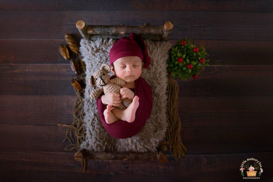 Rental - Natural Wooden Log Bed