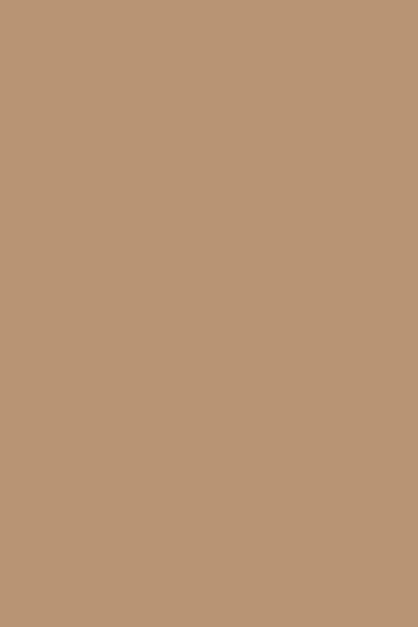 Rentals - Pastel Brown - Fashion Backdrop - 10 by 12 Feet / Fabric